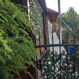 Irina Holiday House