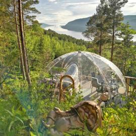 Glassigloo med panoramautsikt - Nordlys og stjernehimmel - Fosen, отель в городе Husby