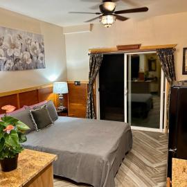 Pahoa में, होटल Studio Phoenix Pet Friendly Near Black Sand Beach & Volcanic Forest