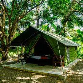 Mango Safari Camping Udawalawe