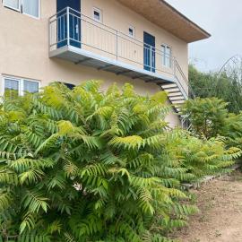 Kubat, hotel in Bosteri