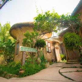 Leafy Greens Chiangmai