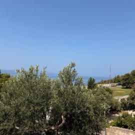 Olive View Apartment Brela - pet friendly