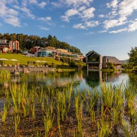 Pfalzblick Wald Spa Resort, hotel em Dahn