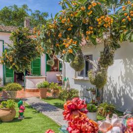 Casa Vileta, hotel in Palma de Mallorca