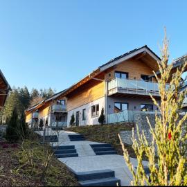 Hahnenklee Ferienchalets, hótel í Hahnenklee-Bockswiese