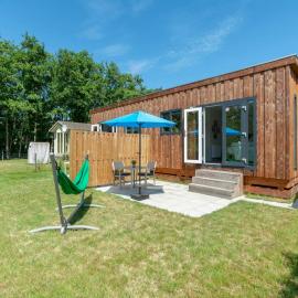 Chalet on Texel near Beach and Forest