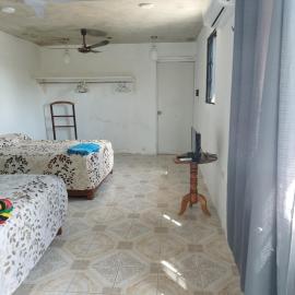 Casa 203