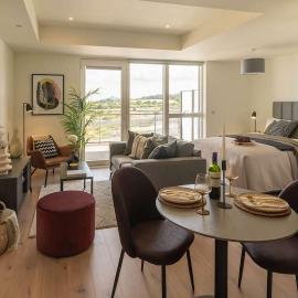 Large Luxurious Studio, Dublin18