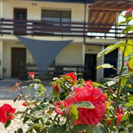 Suzi Apartments, Hotel in Lokev