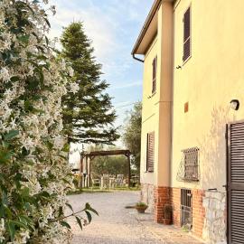 B&B Il Pozzo，錫納倫加的飯店
