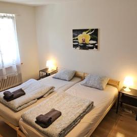 Sensi Living Stadion Self Check In: Rapperswil-Jona şehrinde bir otel