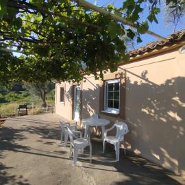 Olive House