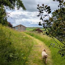 The Fold - Unique Cabin Nestled in Nature, hotel in Llangernyw