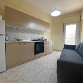 Mimicry Apartment