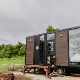8 Farm Macadamia Plantation 1 by Tiny Away