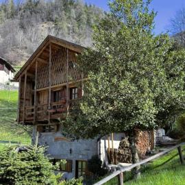 Mulino19- chalet in Val di Rabbi
