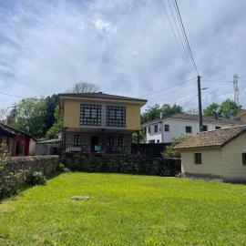 El Campón, Collía