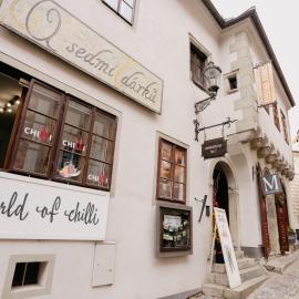 Gall 44 apartments, Hotel in Český Krumlov