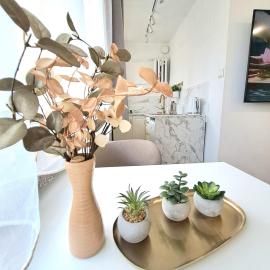 Apartament Dominikanski