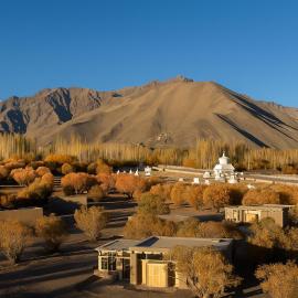The Postcard in The Himalayan Willows, Stok, Leh, hotel Lehben