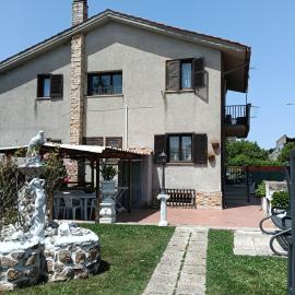 Il gelsomino