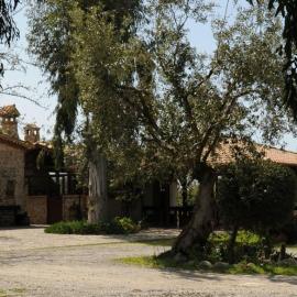 Agriturismo I GELSI