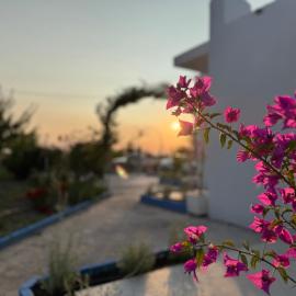 Modern Stay with Garden, near Tigaki Beach - El Greco Apartments No 2
