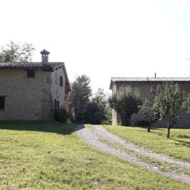 Borgo Pizzicarè