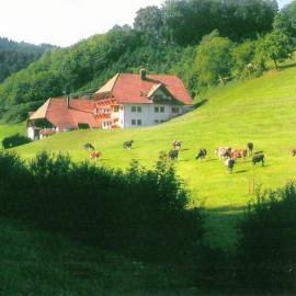 Comfortable holiday home in a beautiful location, hotel u gradu Hofstetten