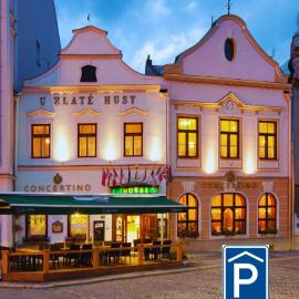 Hotel Concertino Zlatá Husa, ξενοδοχείο σε Jindrichuv Hradec