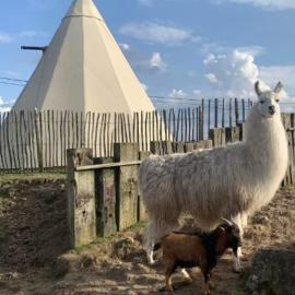 Le tipi d'Adri, hotel in Gesves