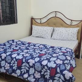 Milele Homestay, Hotel in Boma la Ngombe