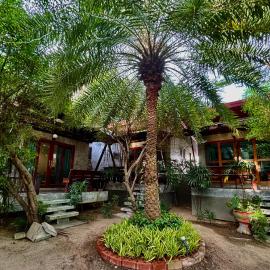 Chook Dee Resort phangan palm beach, готель у місті Баан-Тай