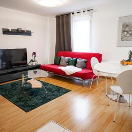 Flat at border suisse