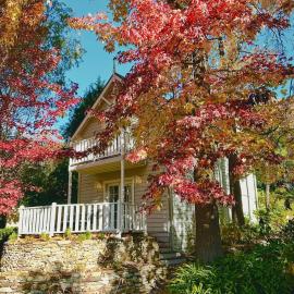 Aldgate Creek Cottage، فندق في Aldgate