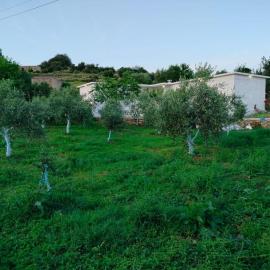 Guest House Bardhyl Balili