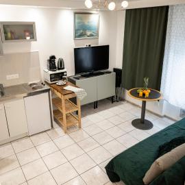 Mega COOL Flat France Suisse