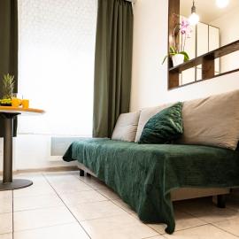 Mega COOL Flat France Suisse, hotel en Saint-Louis