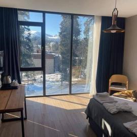Flat in Bakuriani forest