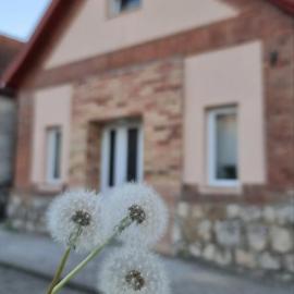 Pitypang Vendégház Dorog, hotel in Dorog
