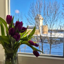 Apartment with Narva Castle view