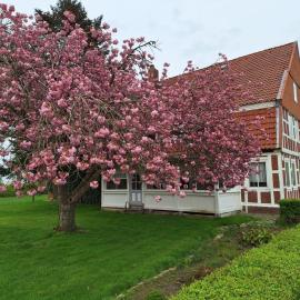 Gasthaus zur Grenze, Hotel in Cuxhaven