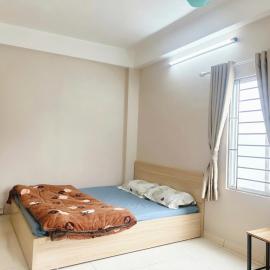 Hoa Đồng Tiền 501DM