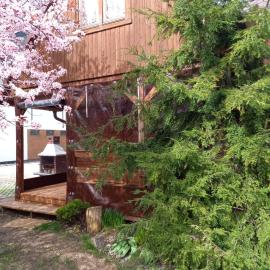 Domki Muszelka, hotel a Stegna