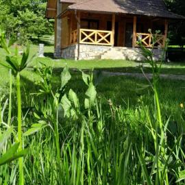 Brvnara Smrčica, hotel v mestu Sekulić 
