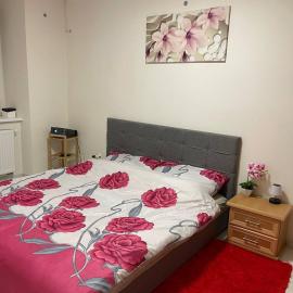 U Tonyho - Apartmán v centru Strakonice 2-kk โรงแรมในสตราคอนนิส