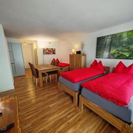 Modernes Apartment neben Jakobshornbahn mit 5 Einzelbetten