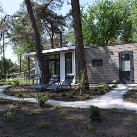 Boshuisje - Bos en Bliss, hotel di Haarle