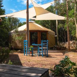 Forest Yurt